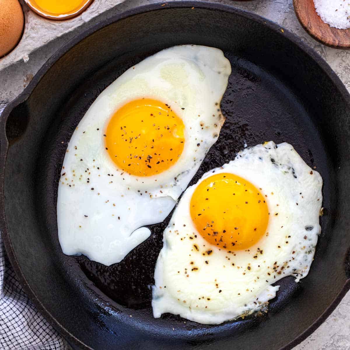 EGG